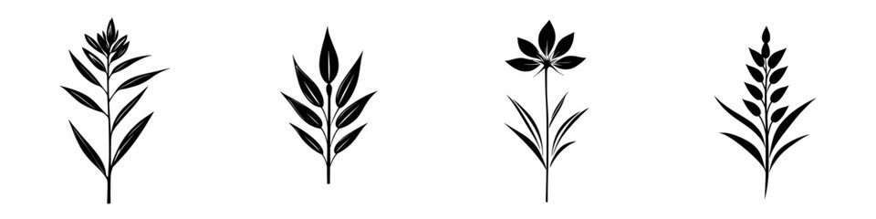 Poster - Set of four black floral icons representing various plant designs suitable for graphic use and digital art across diverse themes