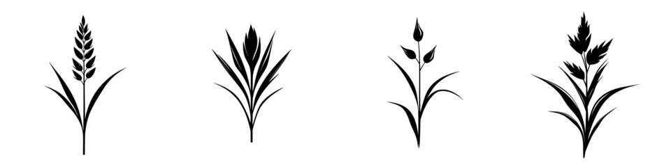 Poster - Black floral icons depicting various plant shapes suitable for digital design and illustration