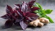 © Nurma - Herbs: Red basil, ginger