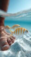 Poster - Crystal clear turquoise water reveals colorful fish swimming near feet partially submerged in the soft, white sand of a tropical beach, creating a serene and idyllic vacation scene