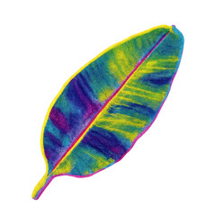 Canvas Print - png vibrant tropical leaf illustration.