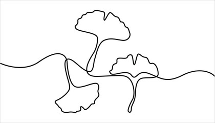Poster - Ginkgo biloba Continuous one line drawing. Abstract botany minimalist poster, Ginkgo flower, Fresh ginkgo biloba green leaf Continuous Line Drawing. 
