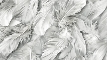 Poster - Delicate white feathers are spread across a light surface, revealing their textures and natural beauty in an artistic display