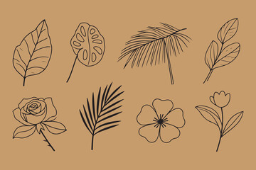 Poster - Collection of simple black line art botanical elements including leaves and flowers on a brown background