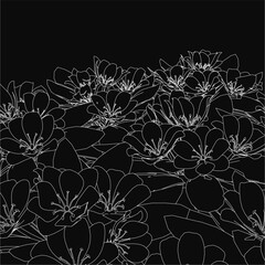 Poster - A set of intricately detailed black and white flowers with delicate petals and stems, drawn in clean contour lines. The bold contrast against the dark background highlights the elegant floral design.
