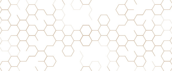 Fototapete - Vector modern futuristic geometric background of hexagons shape