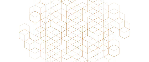 Fototapete - Vector abstract design element with hexagon geometric on a white background