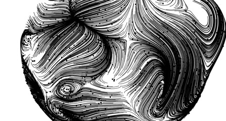 Poster - High-resolution image of an abstract swirl pattern in black and white. Perfect for backgrounds or design projects.