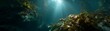 © HDR Image Creator - Underwater serenity 360 degrees hdr panorama of a lush marine environment