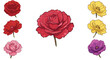 © GuzelN - Set of colorful rose icons with vibrant red, pink, and yellow flowers