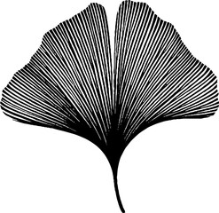 Poster - Vintage engraved illustration of a single biloba leaf silhouette for design and print