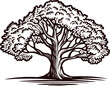 © Purple_Lamp - Vintage hand drawn oak tree silhouette with spreading branches and dense foliage isolated on white background