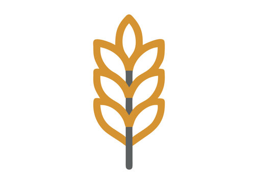 Agriculture wheat ear Vector Illustration