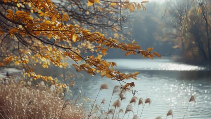 Aufkleber - A serene scene featuring a lake surrounded by tall grass, perfect for use in nature-inspired designs and layouts