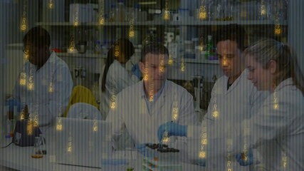 Aufkleber - Scientists reviewing results on lab laptop, passing sample and adding reagent for analysis