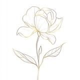 A single line art drawing of an isolated gardenia flower, outlined in gold against a white background