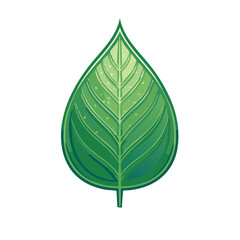 Aufkleber - Single stylized green leaf with veins and water droplets design element illustration
