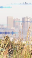 Poster - Animation of data processing against aerial view of cityscape