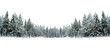 © Rawpixel.com - PNG Pine trees with snow scenery nature forest.