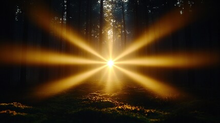 Poster -   Sunbeam amidst forest trees Sun illuminating through foliage