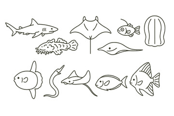 Poster - Aquatic creatures outline icon set. marine life, fish, ocean wildlife graphic collection