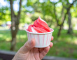 © Anika Visual - A hand holds a small paper cup of pink and white swirl ice cream in a park setting.