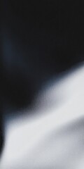 Poster - Abstract black and white background with creative light reflections and texture. Modern graphic design for product display and template.
