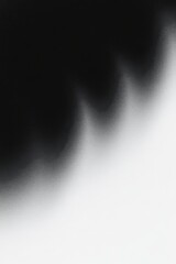 Poster - Abstract contrasting black color with white paper. Modern art design with grain texture for background.