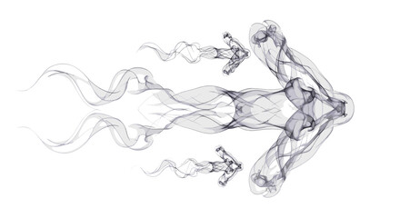 Poster - Abstract smoke formation creating a symmetrical design on a white background with wavy patterns and swirls