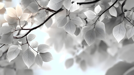 Poster - A white background with a lot of leaves on it. The leaves are very light and delicate, giving the impression of a peaceful and serene scene