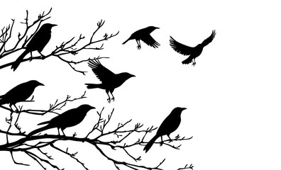 birds on tree branch and flying bird silhouette collection in black vector design
