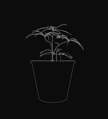Poster - A black and white contour drawing of a potted plant stands out against a dark background. The white outline defines the pot and leaves, creating striking contrast.