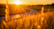 © FastIMG - Golden hour bathes a field of wheat with sunlight, creating a serene rural landscape and showcasing the beauty of nature