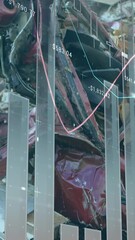 Poster - Animation of graphs processing data over metal waste in reclamation yard