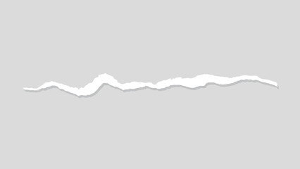 Poster - White torn paper strip on a gray background, element vector