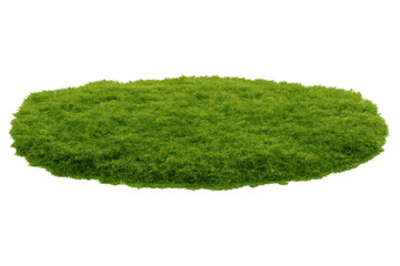 Poster - Lush green grass forming an oval shape, perfect for adding a touch of nature to compositions with its transparent background