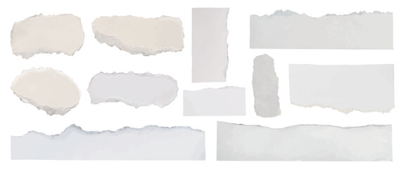 Poster - Collection of torn paper strips on a transparent background. Torn edges, paper textures, and ripped paper designs. Perfect for scrapbooking and collage projects. Ripped paper element set. Vectors.
