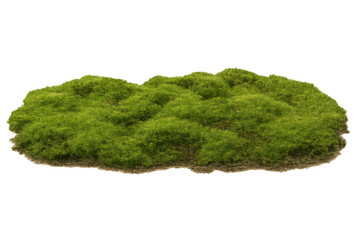 Poster - Lush green moss patch isolated on transparent background, ideal for nature-themed compositions and designs