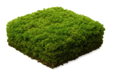 Poster - Lush green moss patch isolated on transparent background, perfect for adding a touch of nature to designs
