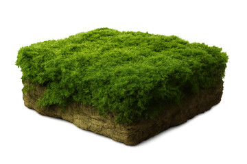 Poster - Verdant moss-covered soil block nestled on transparent surface, showcasing lush green texture and natural organic detail