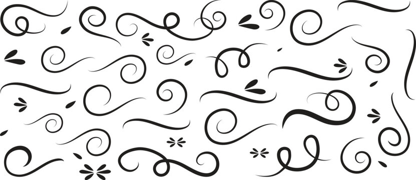 Swirl ornament stroke. Ornamental curls, swirls divider and filigree ornaments vector illustration set