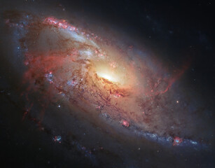 Wall Mural - spiral galaxy m 106 ngc 4258 in constellation canes venatici.
