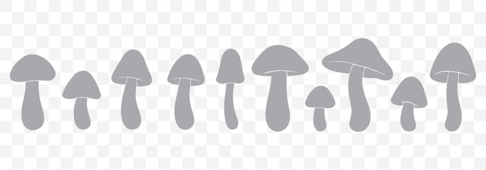 Poster - Mushroom silhouette icons - Set of twelve various mushroom designs for nature and botanical illustrations in Gray Color on Transparent Background. EPS 10.