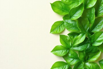 Wall Mural - Fresh green leaves on a light background