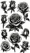 © SUNNY DAY STUDIO - hand drawn set of roses