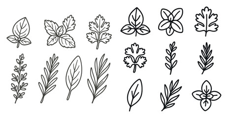 Poster - Set of stylized plant leaves in black and white. The leaves are arranged in a grid, with some overlapping and others standing alone. Scene is calm and serene, with the simple lines