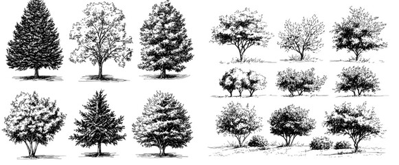 Poster - Isolated modern line art set showcasing a monochrome silhouette of a tree