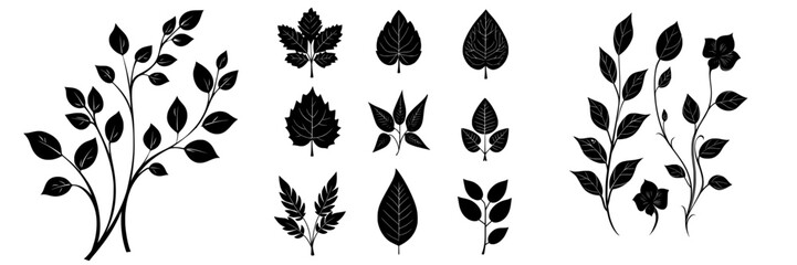 Poster - Modern illustration featuring curly branches silhouettes with leaves isolated on white background