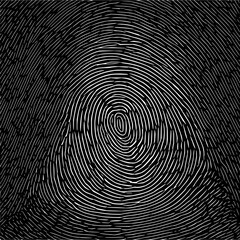 Poster - Abstract fingerprint pattern with concentric white lines on a black background creating a unique design