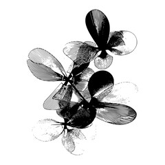 Poster - Abstract floral arrangement with textured petals in black and white artistic illustration style design